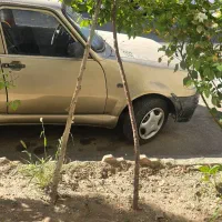 نیو پی کی مدل ۸۵|خودرو سواری و وانت|کرج, بنیاد|دیوار