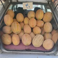 میوه‌فروشی