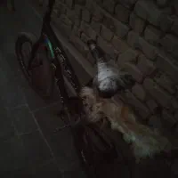 دوچرخه 20|دوچرخه، اسکیت، اسکوتر|سراوان, |دیوار