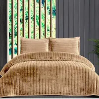 نمایندگی فروش محصولات کالای خواب روتختی تدی