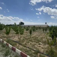 فروش باغچه ۵۰۰ متری چاه تپه آماده