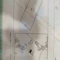 زمین-با-پروانه-گل-خانه