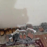 دم پای زنانه