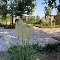 کارشناس فضای سبز خانم یا اقا
