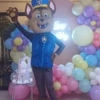 سوپرایز تولد تنپوش عروسکی|خدمات پذیرایی، مراسم|مشهد, دانشجو|دیوار