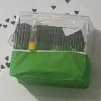 فنچ