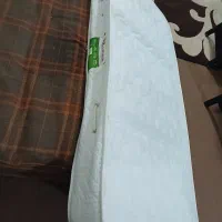 تشک نوجوان آپادنا کارکرده