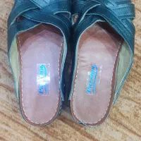 کفش و صندل|کیف، کفش، کمربند|شوشتر, |دیوار