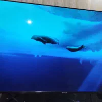 تلوزیون اسنوا65اینچ 4k