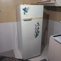 یخچال تمیزوسالم