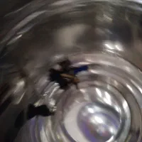 سماور گازی ۶۰ لیتر نو