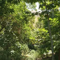 باغ-سند-دار