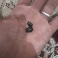 مهره یاقوت سیلان