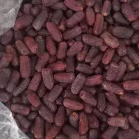 پیارم درجه ۱