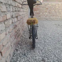دوچرخه ۲۰ تکچرخ باز