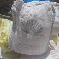 کچ شرکت
