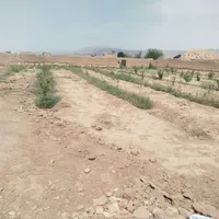 فروش باغ ۴۵۰ متری با موقعیت عالی|فروش زمین و ملک کلنگی|شاهرود, |دیوار