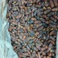 خرماپیارم درجه یک حاجی ابادی زیر قیمت بازار