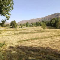 انجام کارهای کشاورزی