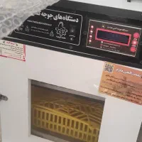 دستگاه جوجه کشی 42 تایی برند هدایت زیر قیمت|لوازم جانبی حیوانات|شیراز, شهرک گلستان|دیوار