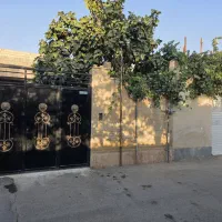سند تک برگ سلطان آباد کیانمهر چهارباغ
