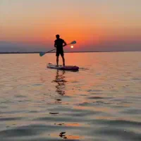 اموزش پدل برد و اجاره