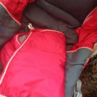 فروش کالاسکه|کالسکه و لوازم جانبی|نجفآباد, ویلاشهر|دیوار