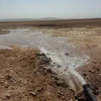 زمین کشاورزی با چاه آب|اجارهٔ دفتر صنعتی، کشاورزی، تجاری|گلبهار, بیزکی|دیوار