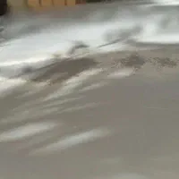 206تیپ سه|خودرو سواری و وانت|گرگان, |دیوار