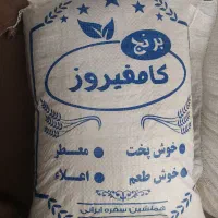 برنج کامفیروزی به شرط پخت درج‌یک