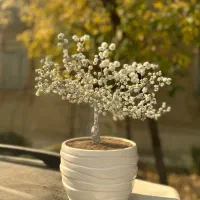 تزئینی منزل|مجسمه، تندیس، ماکت|تهران, کاشانک|دیوار