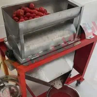 آبگیری گوجه درب منزل شما