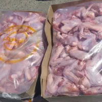 بال ماهیچه مرغ گرم ومنجمد  بصورت عمده