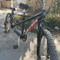 دوچرخه هفت دنده دونفره برندویوا