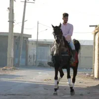 عرب فروشی