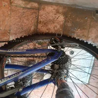 دوچرخه درخت نو