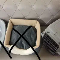باکس گربه و سگ