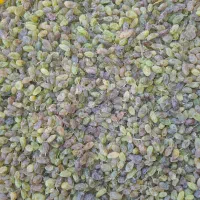 کشمش سایه خشک|خوردنی و آشامیدنی|ملایر, |دیوار