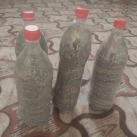 بذر خوب