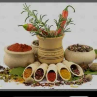 در خانه خودت به درآمد برسید