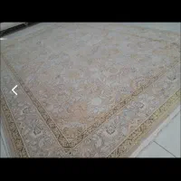 دوتخته فرش شاه عباسی|فرش|کرمانشاه, |دیوار