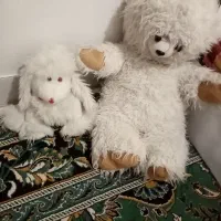 عروسک وتا اخر
