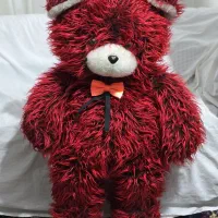 خرس|اسباب‌‌بازی|قدس, شهر‌قدس|دیوار