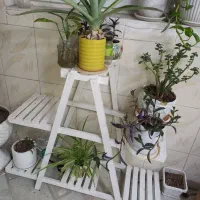 شلف گل با چند تا گلدون سرامیکی