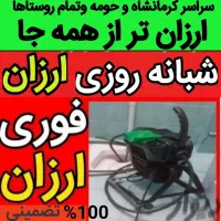 لوله بازکن فنربرقی تراکم هواارزان ارزان فوری فوری