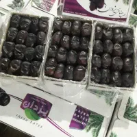 فروش عمده و جزئی خرمای مجلسی اعلا
