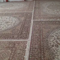 فرش|فرش|جوانرود, |دیوار