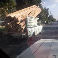 چوب سرخانه وباغی خریدارم|خدمات باغبانی و درختکاری|ملایر, |دیوار