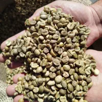 فروش ویژه مخصوص|عمدهفروشی|شیراز, حومه شیراز|دیوار