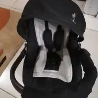 کریر نوزادی